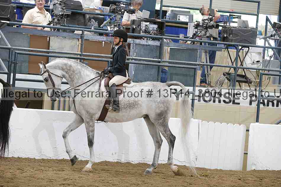 Proof Number 13r14_3804