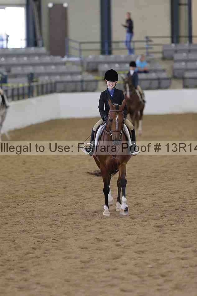 Proof Number 13r14_3811
