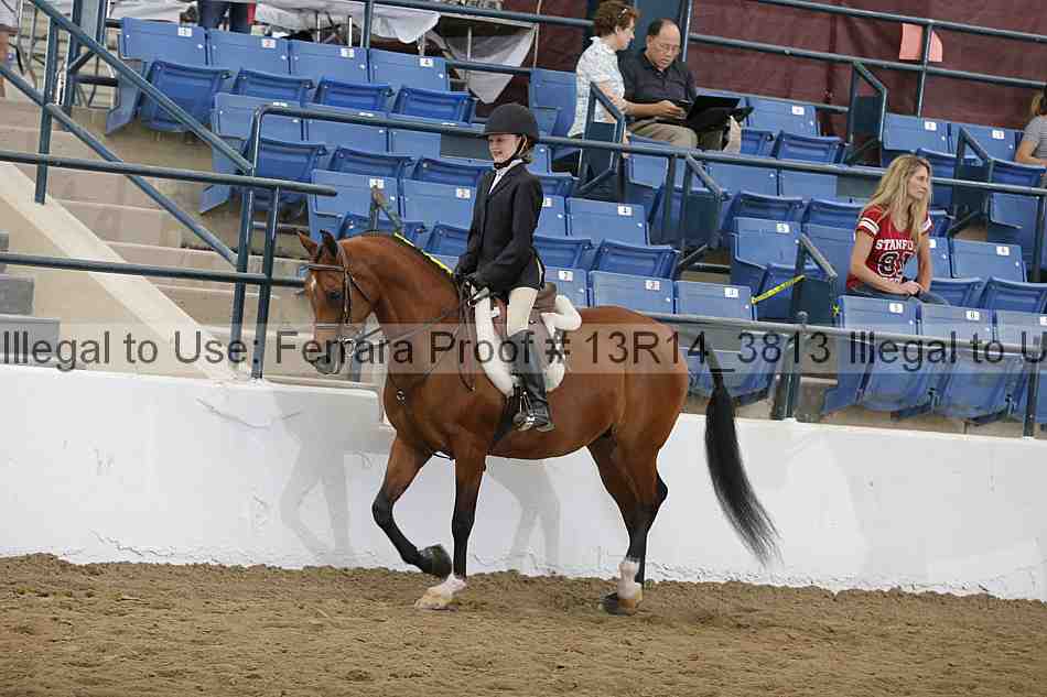 Proof Number 13r14_3813
