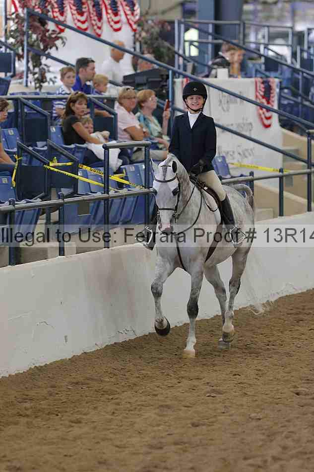 Proof Number 13r14_3816