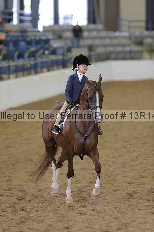 Proof Number 13r14_3820