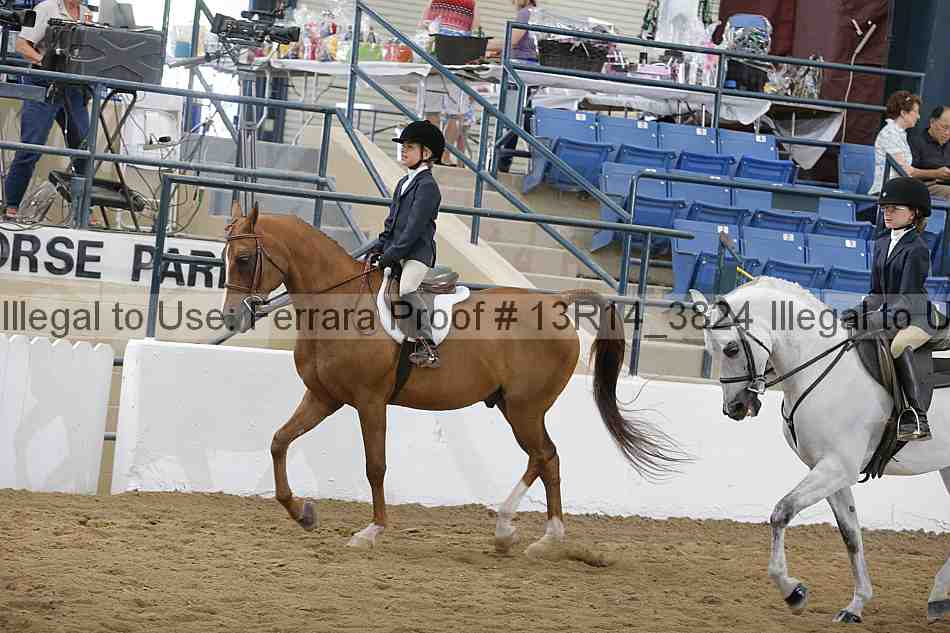 Proof Number 13r14_3824