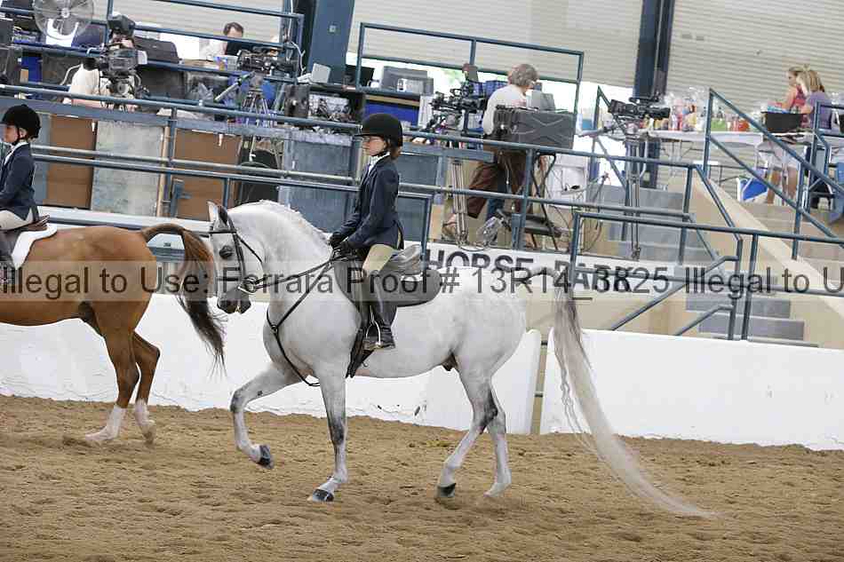 Proof Number 13r14_3825