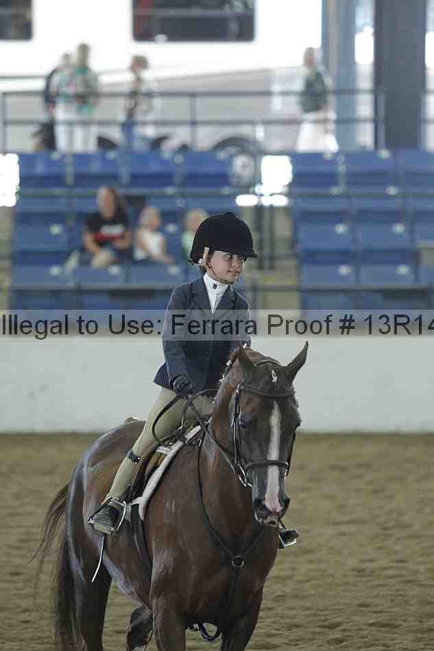 Proof Number 13r14_3826