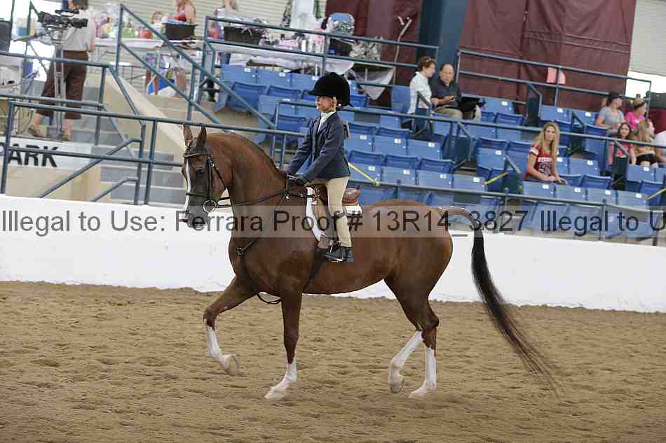 Proof Number 13r14_3827