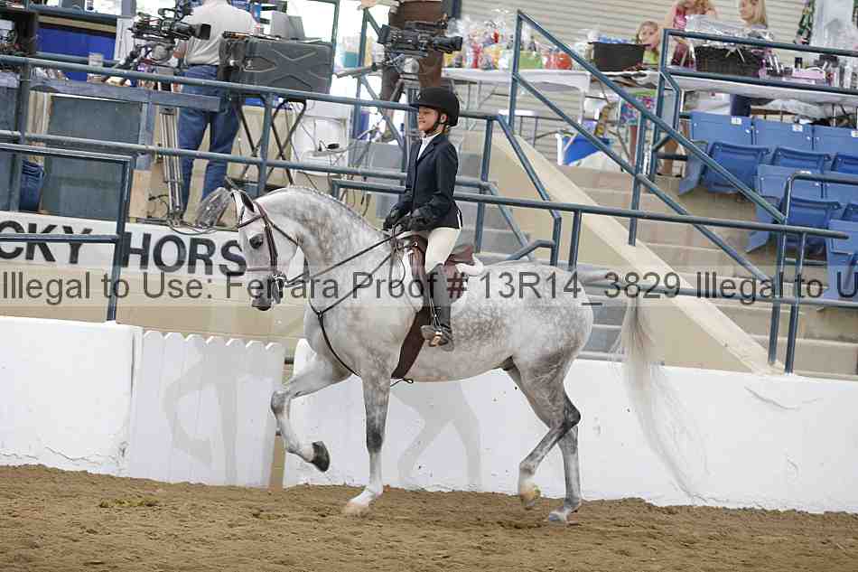 Proof Number 13r14_3829
