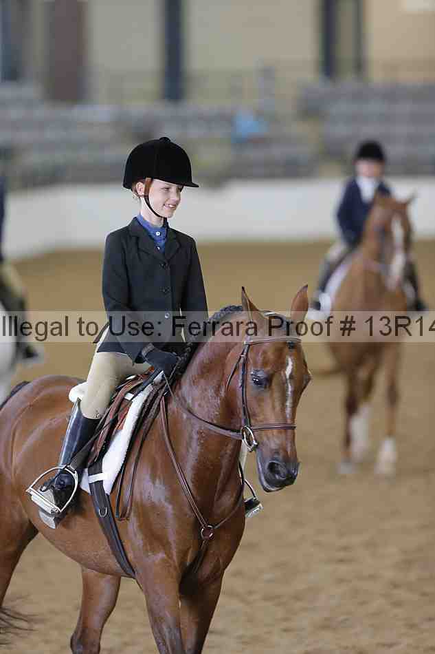 Proof Number 13r14_3831