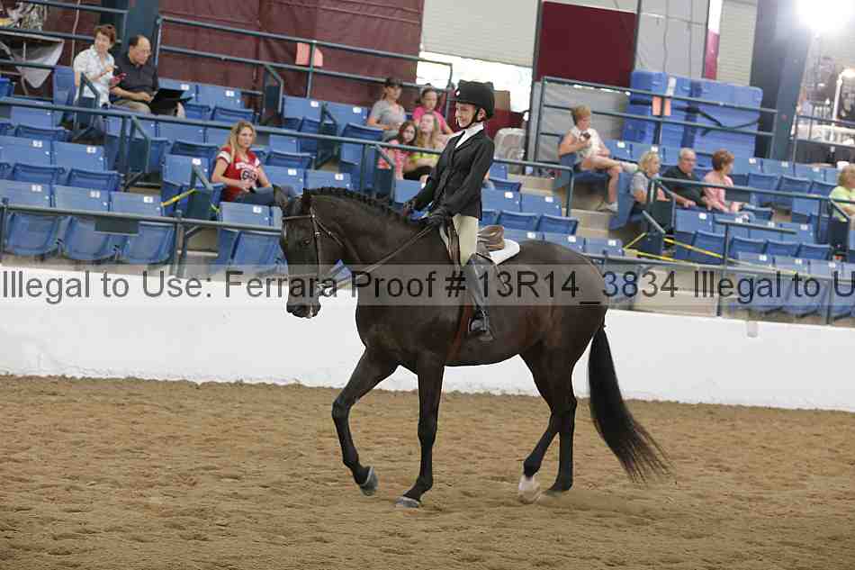 Proof Number 13r14_3834