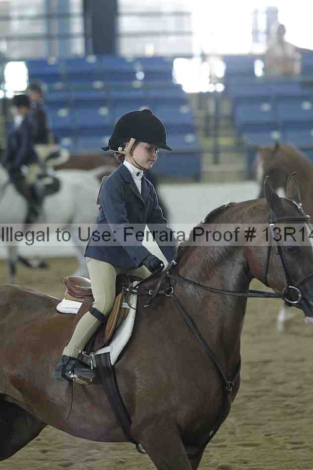 Proof Number 13r14_3835