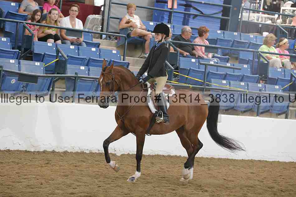 Proof Number 13r14_3838