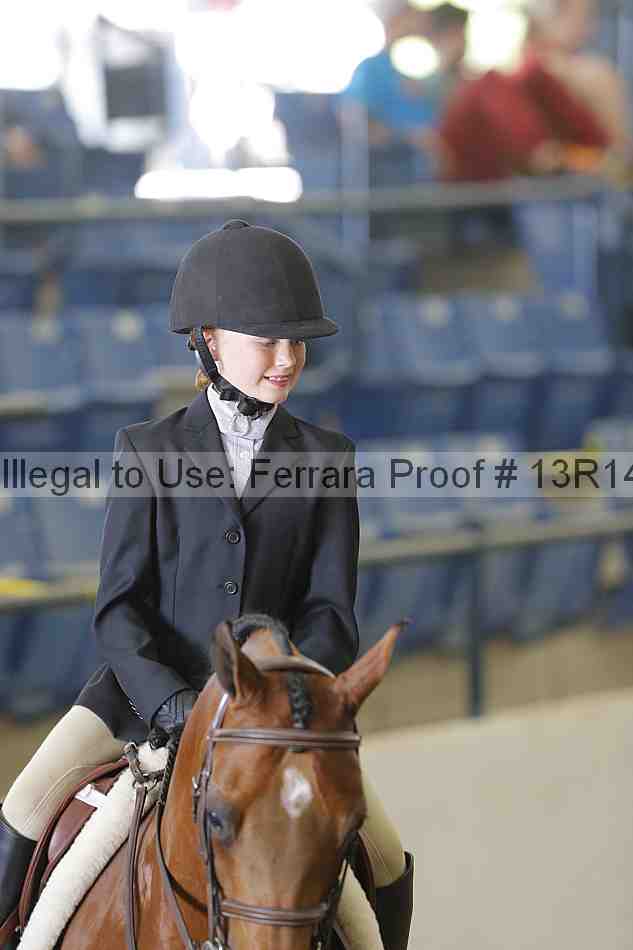 Proof Number 13r14_3839