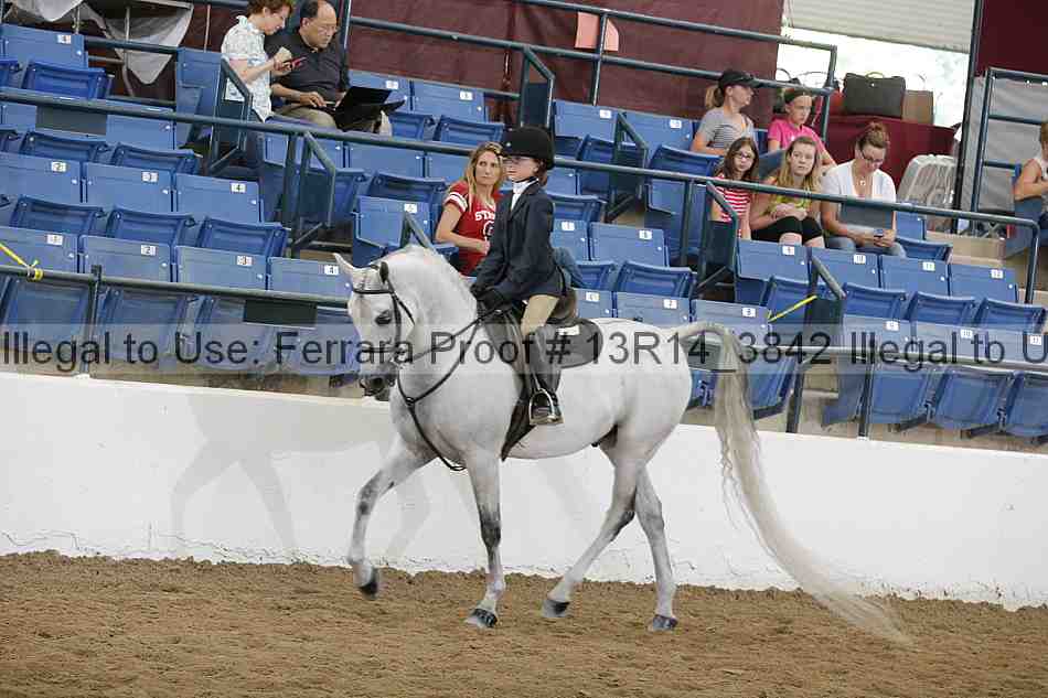 Proof Number 13r14_3842