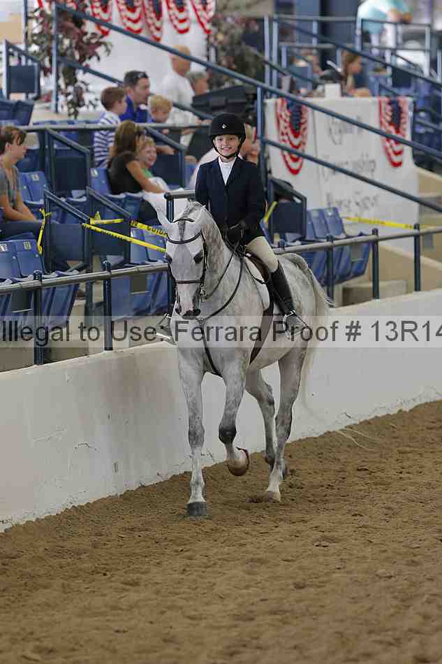 Proof Number 13r14_3846