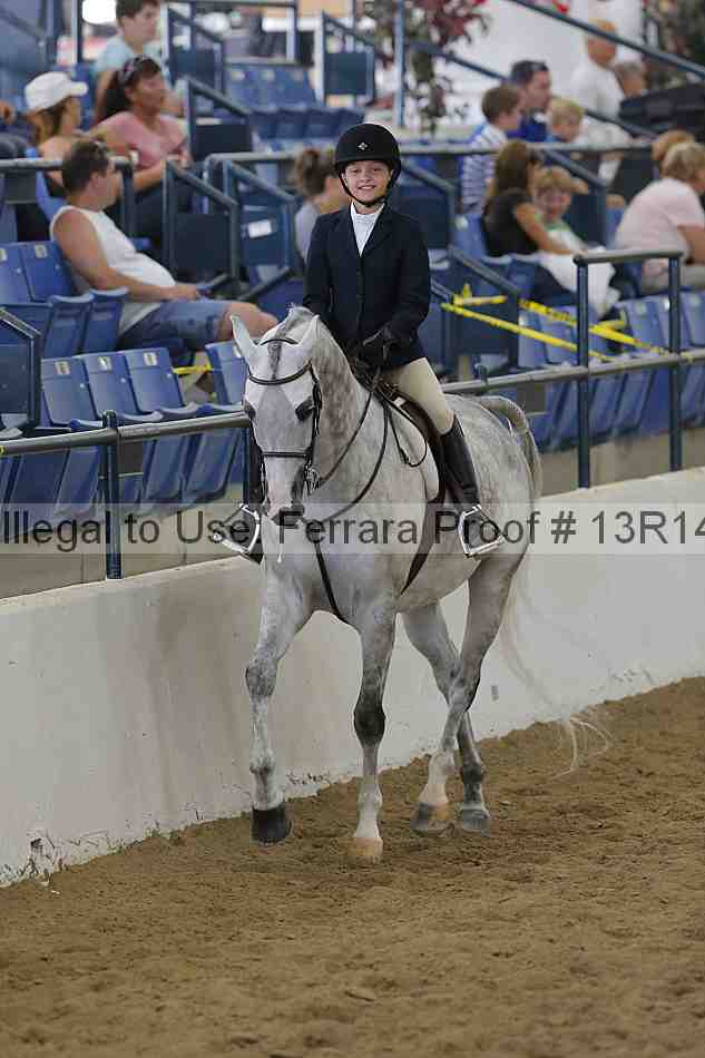 Proof Number 13r14_3848