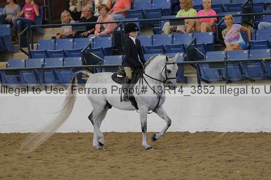 Proof Number 13r14_3852