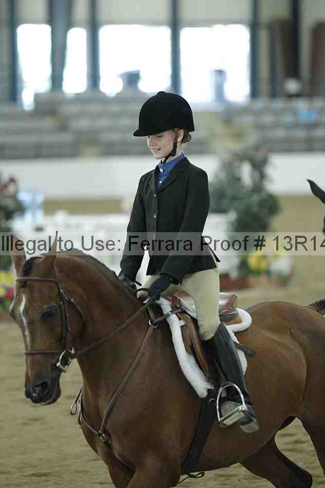 Proof Number 13r14_3854