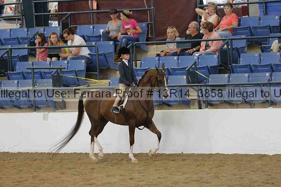 Proof Number 13r14_3858