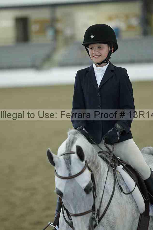 Proof Number 13r14_3860