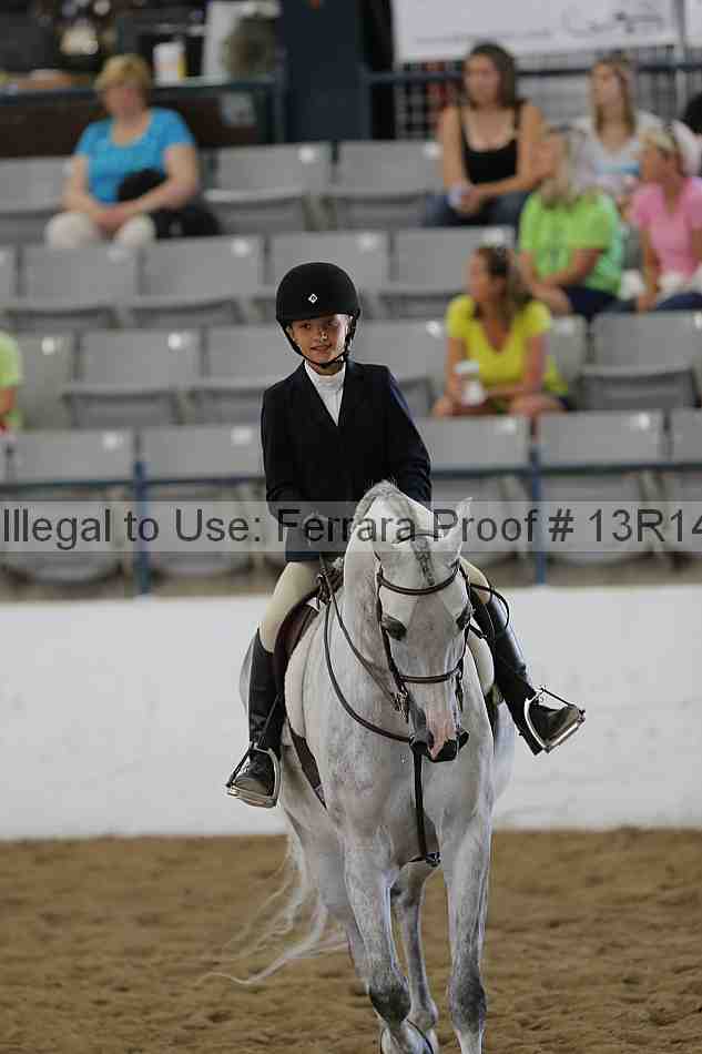 Proof Number 13r14_3863