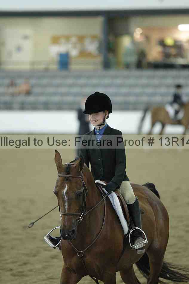 Proof Number 13r14_3866