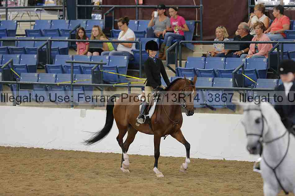 Proof Number 13r14_3867