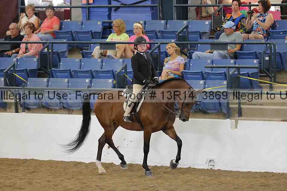 Proof Number 13r14_3869