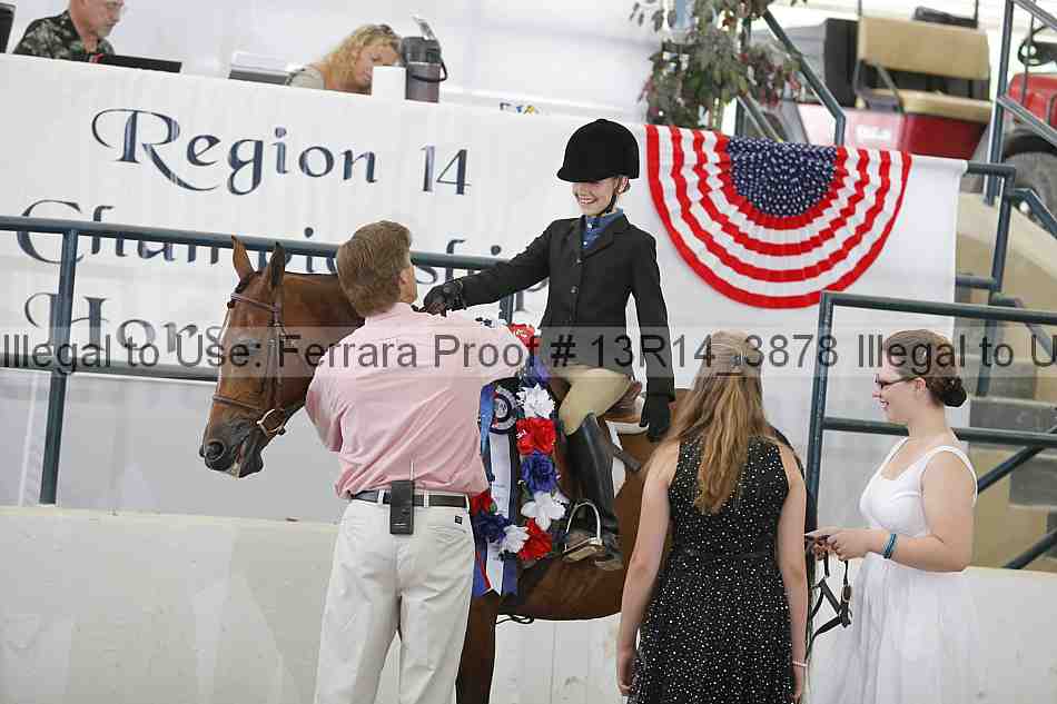 Proof Number 13r14_3878