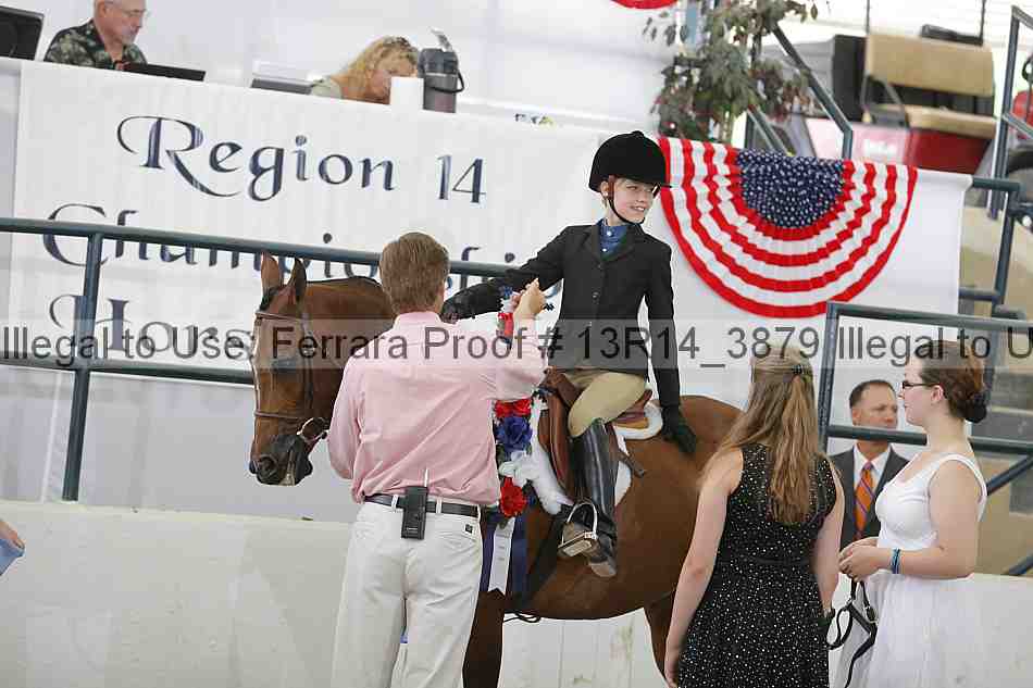 Proof Number 13r14_3879