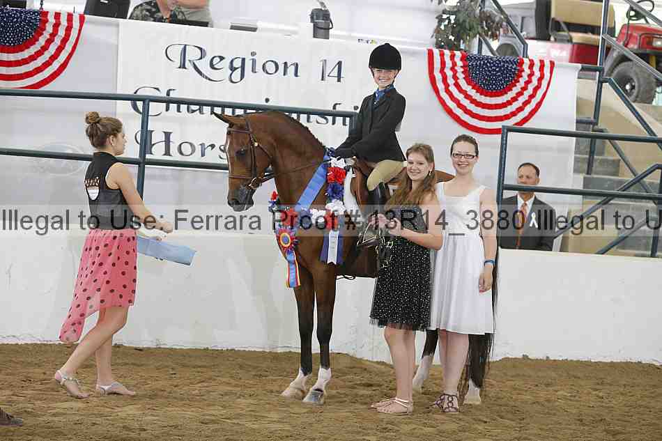 Proof Number 13r14_3880
