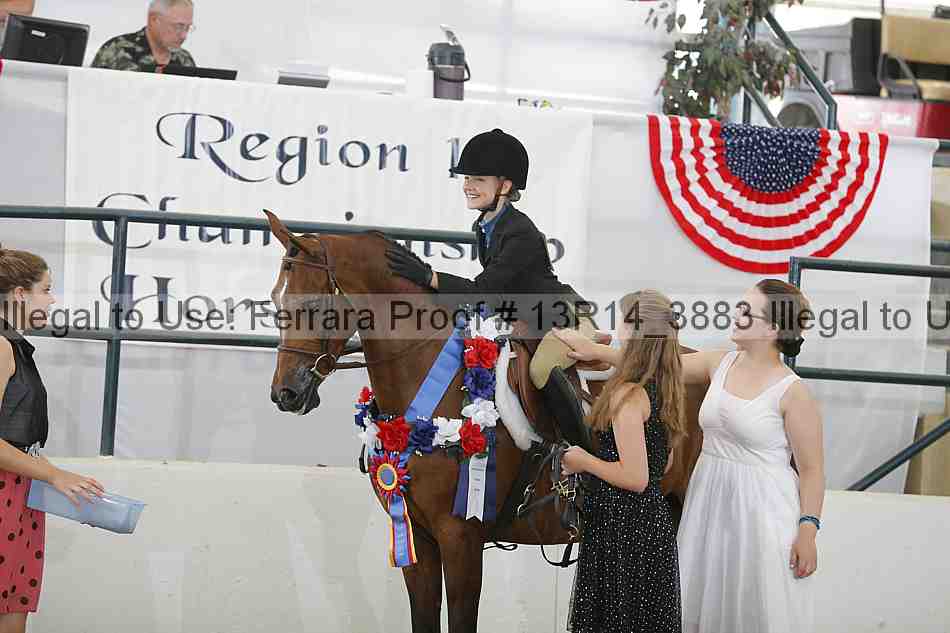 Proof Number 13r14_3883