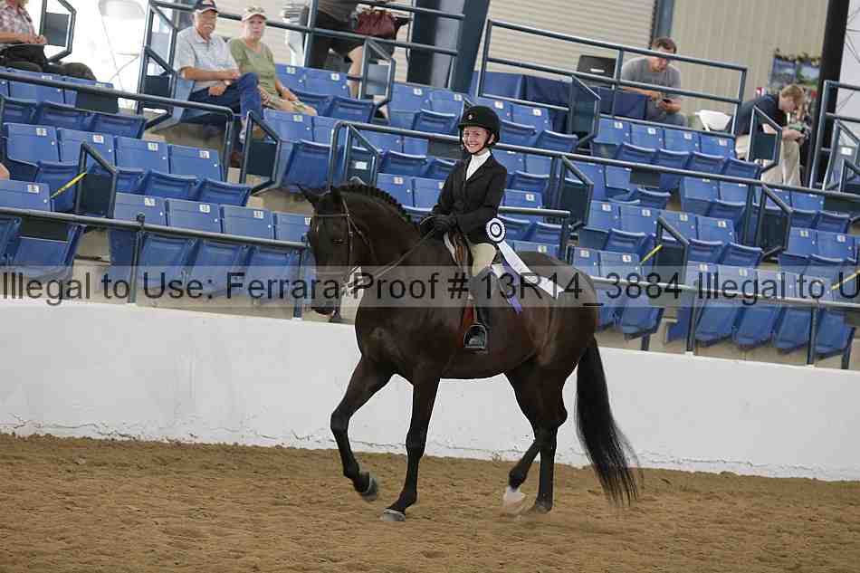 Proof Number 13r14_3884