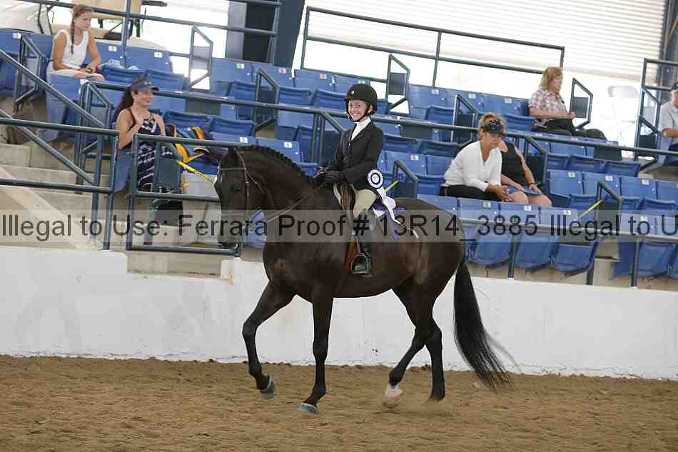 Proof Number 13r14_3885