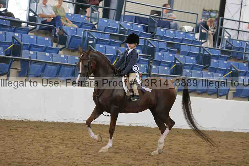 Proof Number 13r14_3889