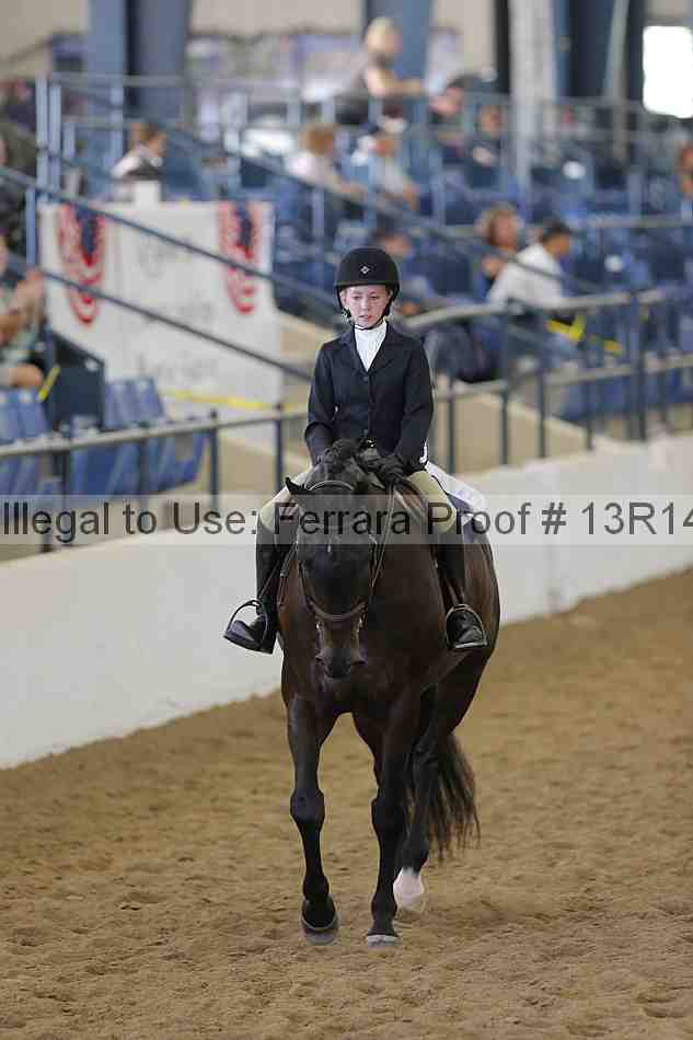 Proof Number 13r14_3890