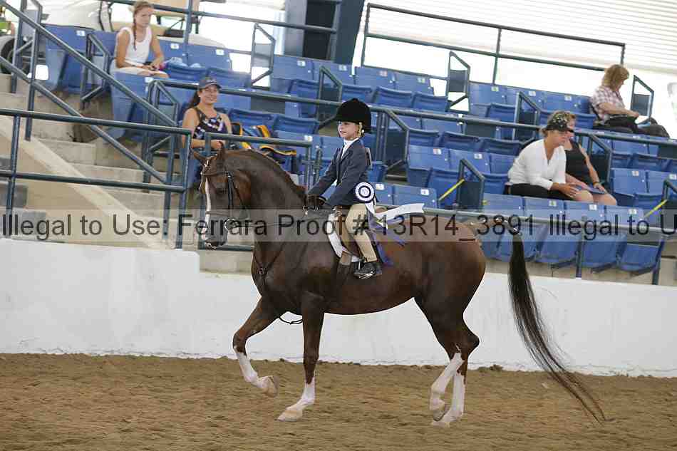 Proof Number 13r14_3891
