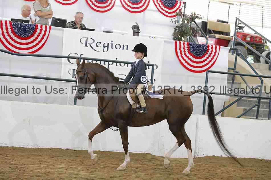 Proof Number 13r14_3892