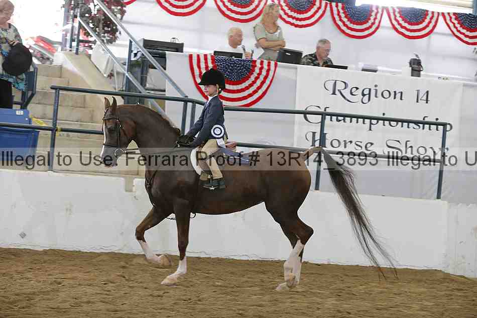 Proof Number 13r14_3893