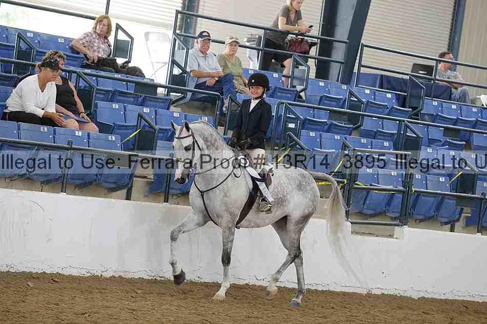 Proof Number 13r14_3895