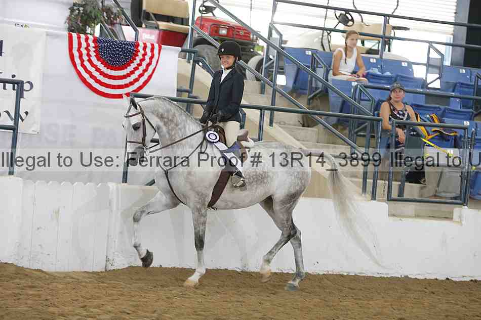 Proof Number 13r14_3899