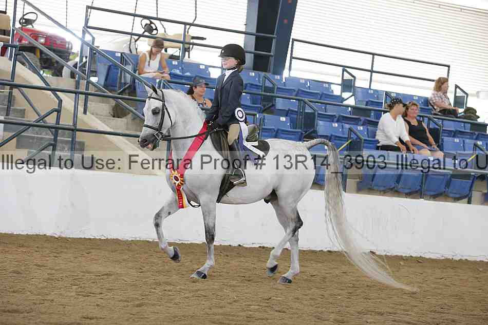Proof Number 13r14_3903