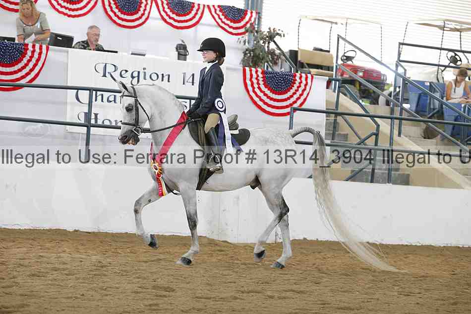 Proof Number 13r14_3904