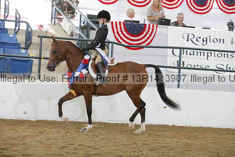 Proof Number 13r14_3907
