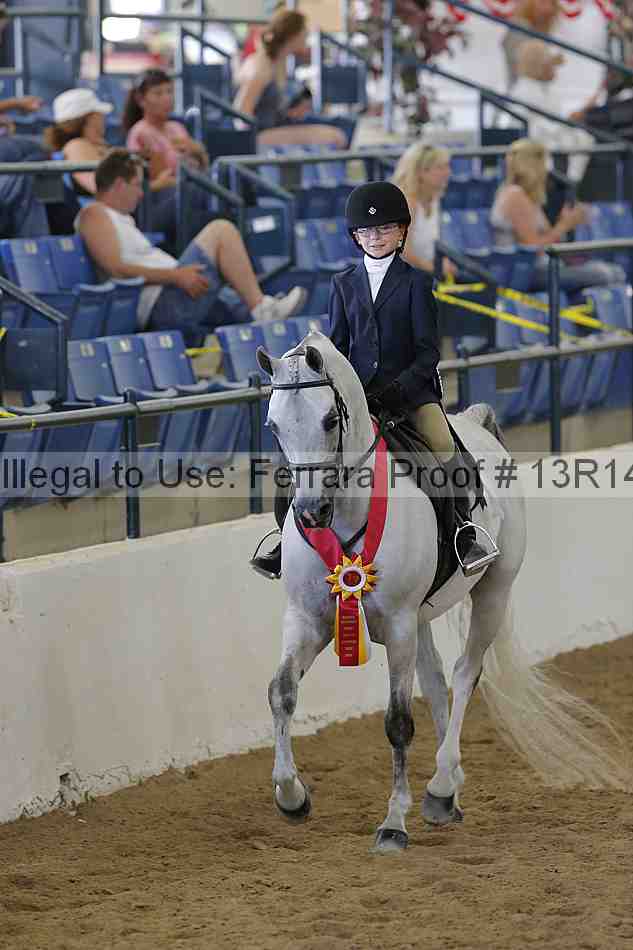 Proof Number 13r14_3910