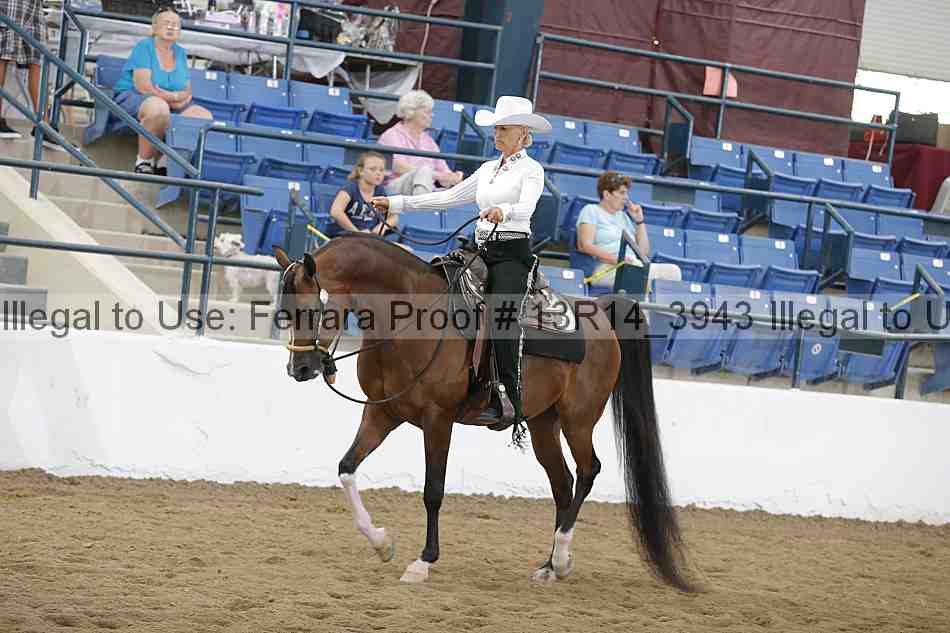 Proof Number 13r14_3943