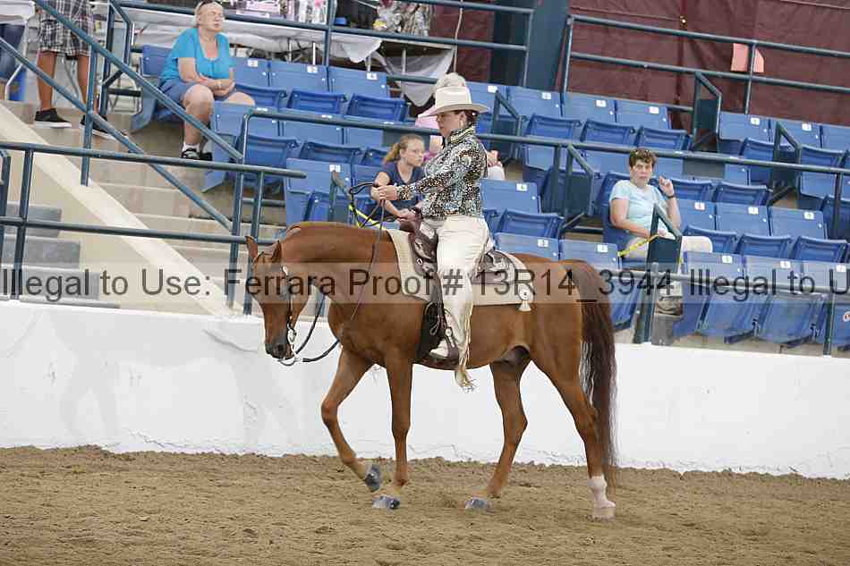 Proof Number 13r14_3944