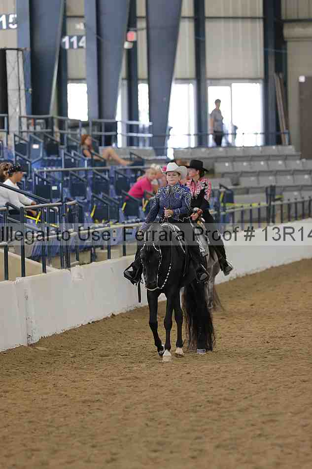 Proof Number 13r14_3945