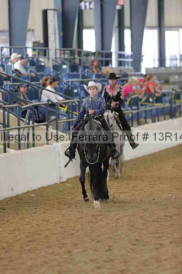 Proof Number 13r14_3946