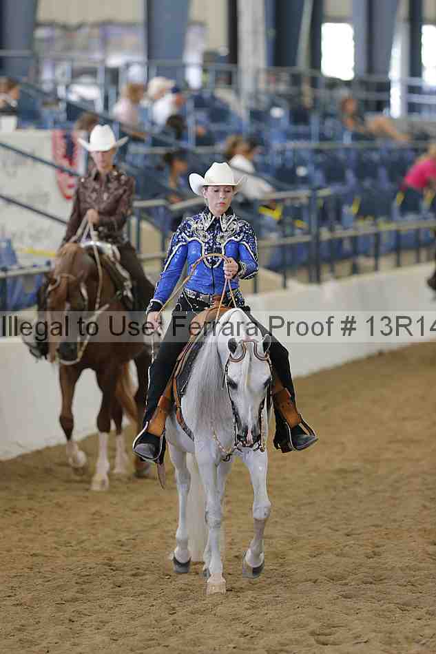 Proof Number 13r14_3950