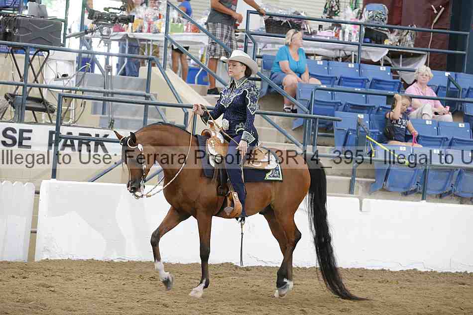 Proof Number 13r14_3951
