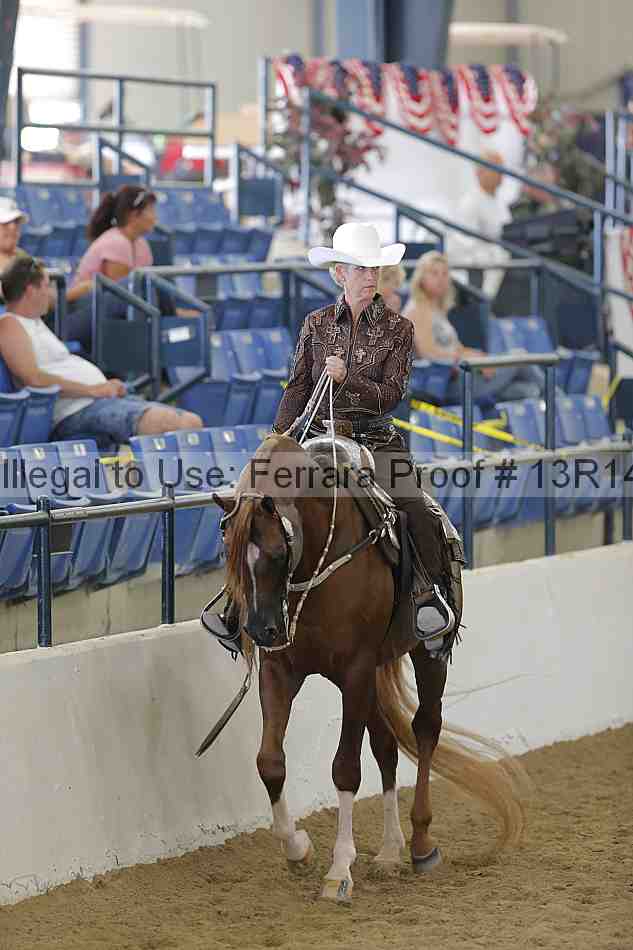 Proof Number 13r14_3952
